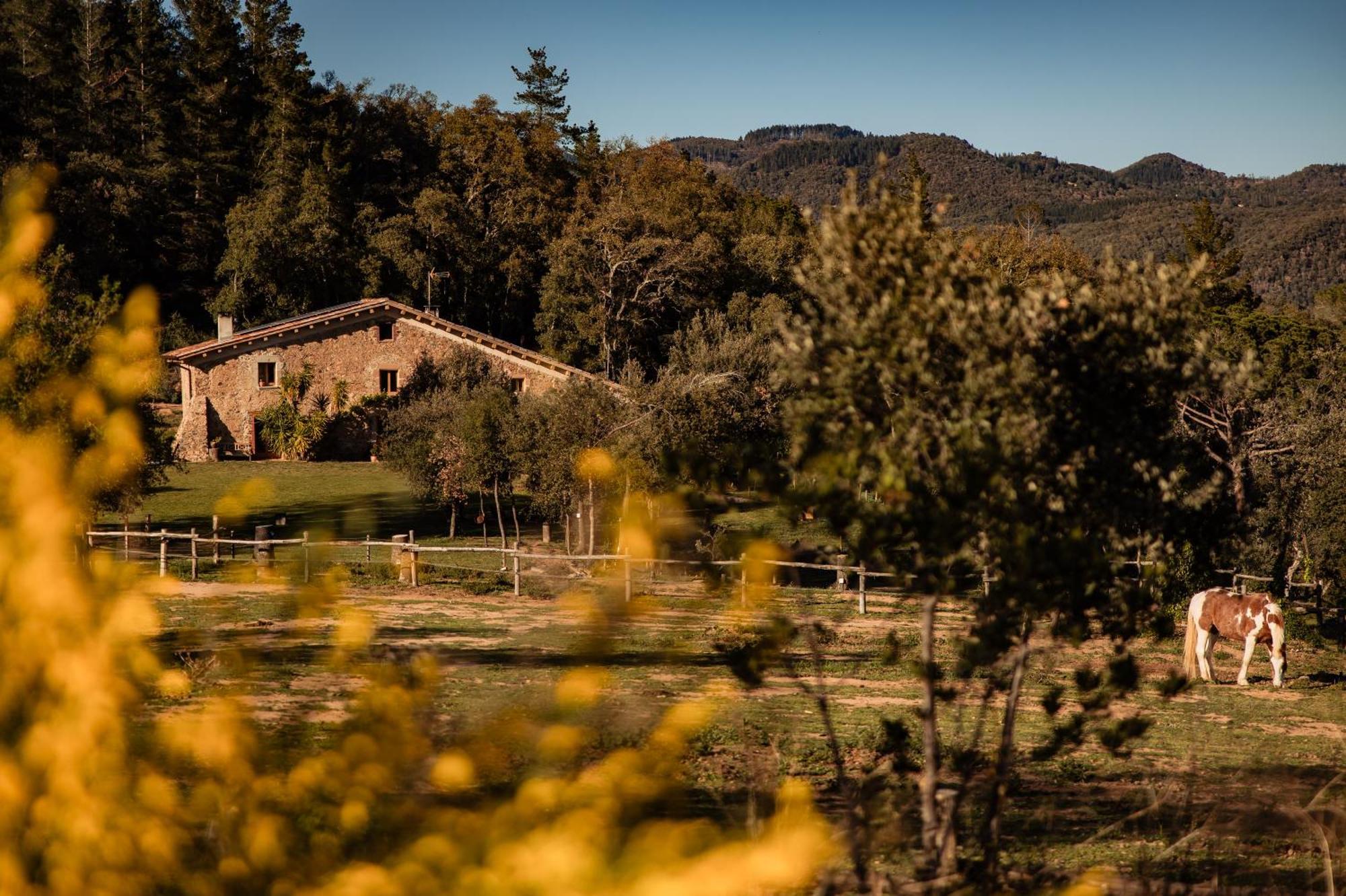 Appartement La Paradella - De Uso Turistico *
